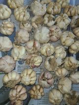 팜모닝 · 게시글 이미지