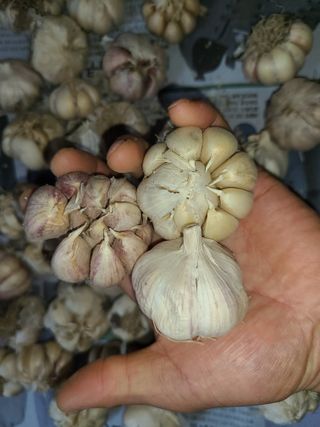 김봉학님의 작성글 사진