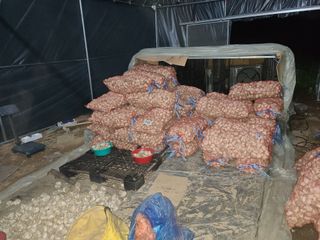 김봉학님의 작성글 사진