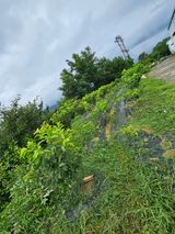 팜모닝 자유주제·자유게시판 게시글 이미지