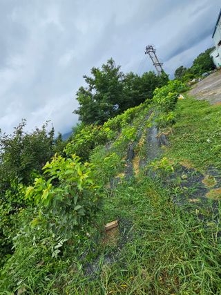 염미숙님의 자유주제 · 자유게시판 작성글 사진