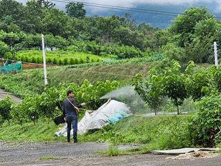 염미숙님의 자유주제 · 자유게시판 작성글 사진