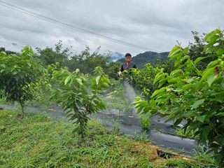 염미숙님의 자유주제 · 자유게시판 작성글 사진