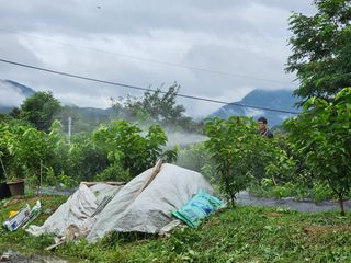 염미숙님의 자유주제 · 자유게시판 작성글 사진