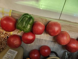 대파20698님의 토마토 · 영농일지 작성글 사진