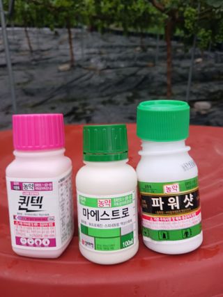 혁이네농원님의 포도 · 자유게시판 작성글 사진