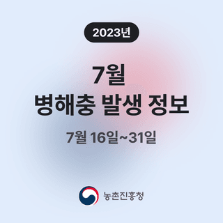 병해충발생정보님의 팜모닝공식 · 병해충발생정보 작성글 사진