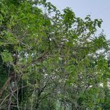 팜모닝 기타작물·영농일지 게시글 이미지