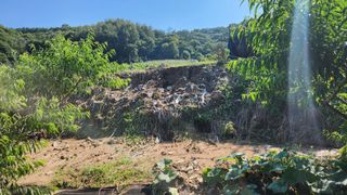 호두마루님의 복숭아 · 자유게시판 작성글 사진