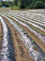 팜모닝 벼·자유게시판 게시글 이미지