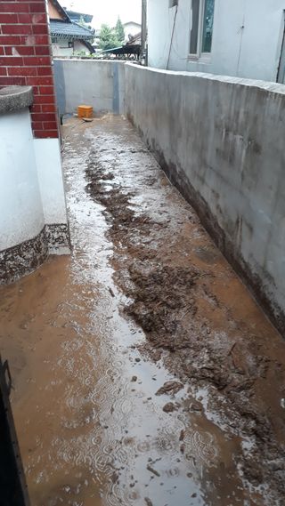 변사또님의 수해 농가 응원 같이해요 · 참여 작성글 사진