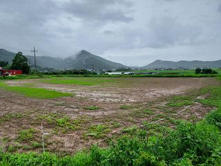보옥농장(부부)님의 콩 · 영농일지 작성글 사진
