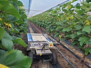 박민수님의 자유주제 · 자유게시판 작성글 사진