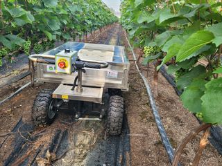 박민수님의 자유주제 · 자유게시판 작성글 사진