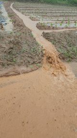 팜모닝 수해 농가 응원 같이해요·참여 게시글 이미지