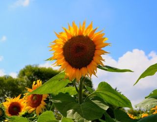 이기석님의 수해 농가 응원 같이해요 · 참여 작성글 사진