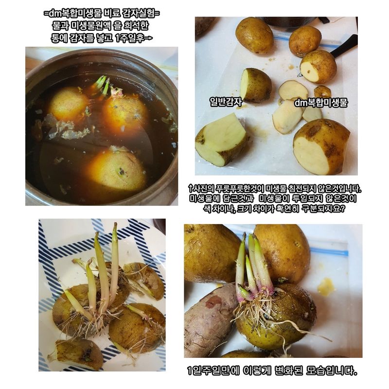 단지바이오님의 장터 판매 상품 [[단지바이오] 뿌리많다 1리터 식물종합영양제(2000:1 희석)] 첨부 사진