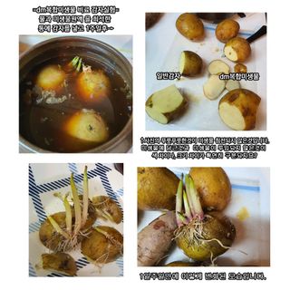 단지바이오님의 작성글 사진