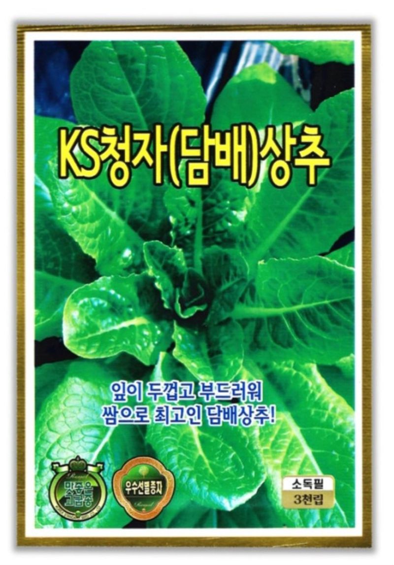 한농농약종묘사님의 장터 판매 상품 [담배상추, 아삭이상추, 적치마상추, 청상추, 쌈채씨앗] 첨부 사진