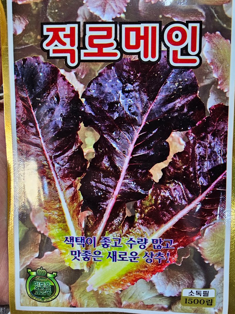 한농농약종묘사님의 장터 판매 상품 [담배상추, 아삭이상추, 적치마상추, 청상추, 쌈채씨앗] 첨부 사진