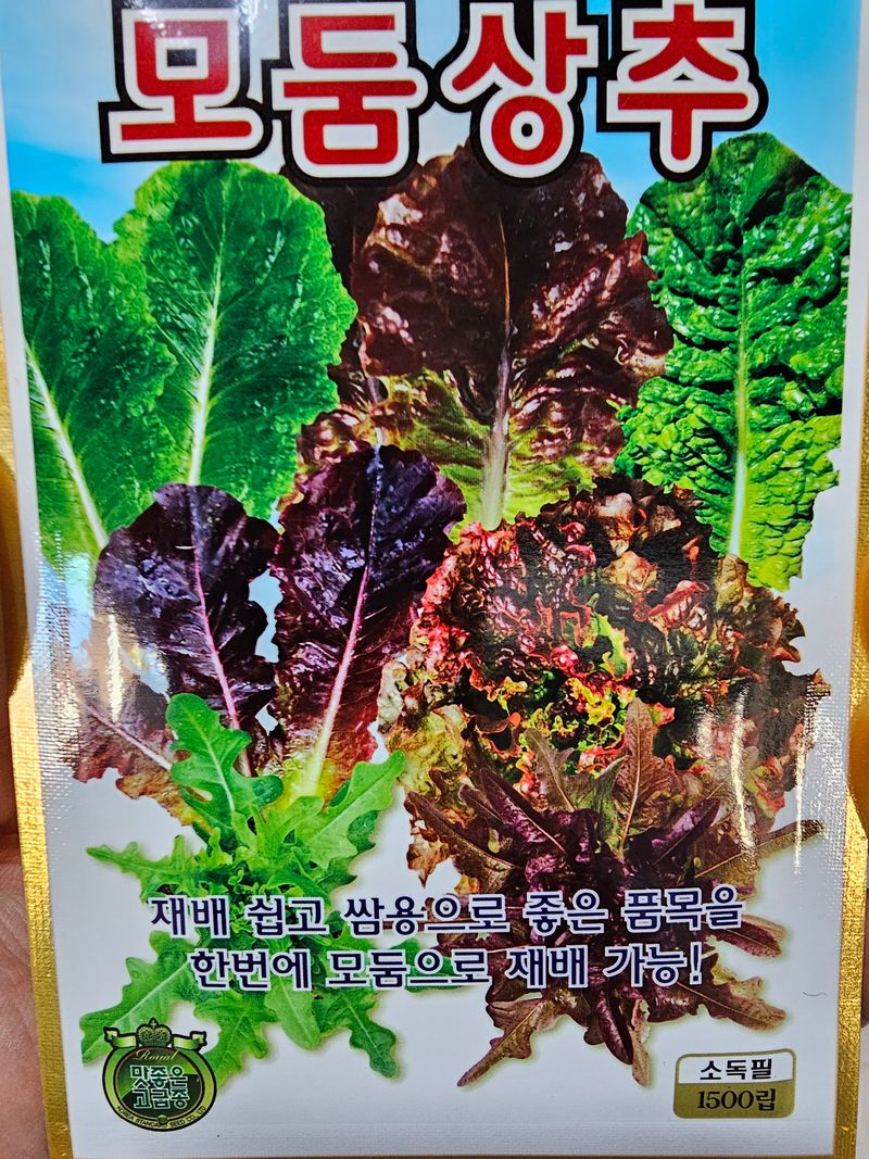 한농농약종묘사님의 장터 판매 상품 [담배상추, 아삭이상추, 적치마상추, 청상추, 쌈채씨앗] 첨부 사진