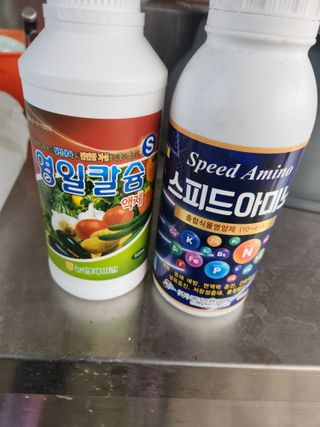 자두향기(박갑준)님의 자두 · 자유게시판 작성글 사진