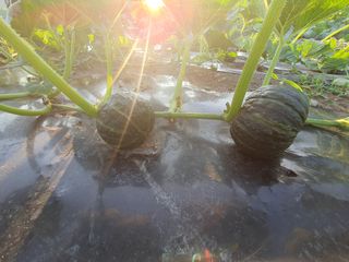 김철현님의 작성글 사진