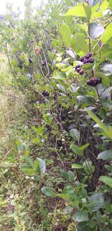 팜모닝 · 게시글 이미지