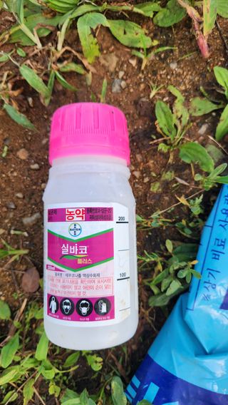 제부도그린농원님의 사과 · 품질 향상 작성글 사진