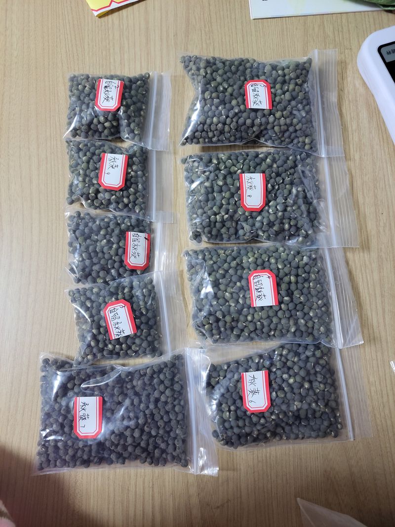 원빈님의 장터 판매 상품 [종자] 첨부 사진