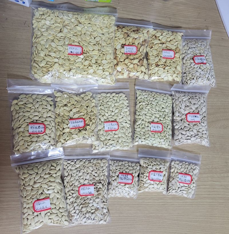 원빈님의 장터 판매 상품 [종자] 첨부 사진