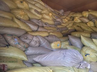 김민수님의 고추 · 일상 작성글 사진