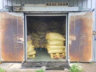 김민수님의 고추 · 일상 작성글 사진