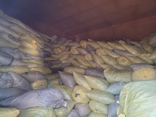 김민수님의 고추 · 일상 작성글 사진