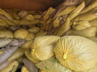 김민수님의 고추 · 일상 작성글 사진