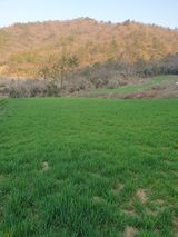 팜모닝 · 게시글 이미지