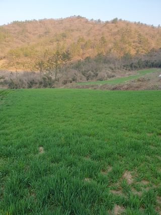 남재님의 작성글 사진