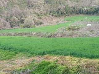 남재님의 작성글 사진