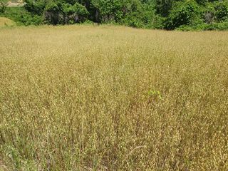 남재님의 작성글 사진