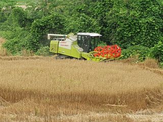 남재님의 작성글 사진