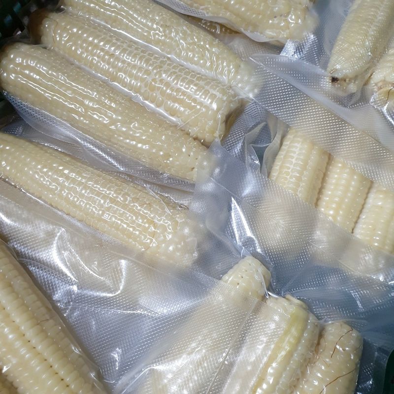 장터 상품 [정선 냉동 찐옥수수 12개 30개] 썸네일