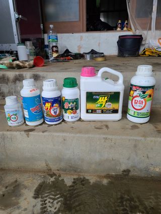 김태현님의 어떤 유기농자재 쓰세요? · 참여글 작성글 사진