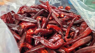 고추 조의현님의 고추 · 수확 작성글 사진