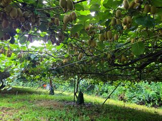 노고단님의 기타작물 · 자유게시판 작성글 사진