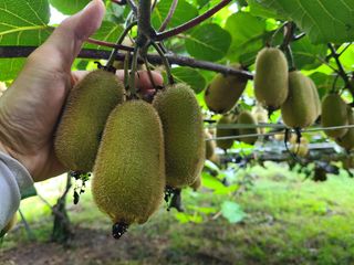 노고단님의 기타작물 · 자유게시판 작성글 사진