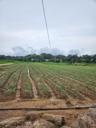 별향기님의 어떤 유기농자재 쓰세요? · 참여글 작성글 사진