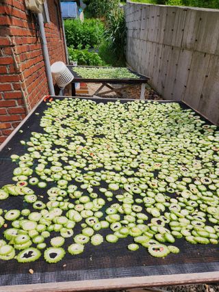 유재일님의 자유주제 · 자유게시판 작성글 사진