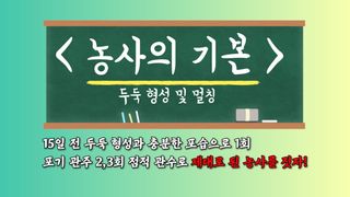단지바이오님의 자유주제 · 자유게시판 작성글 사진