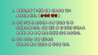 단지바이오님의 자유주제 · 자유게시판 작성글 사진