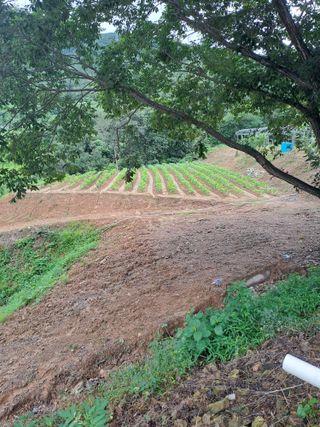 지리산자락님의 자유주제 · 자유게시판 작성글 사진